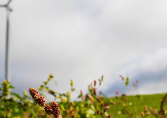 Wind mill at Kilathmoy